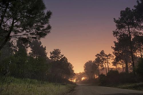 PNUMA-CEPAL: ESTILOS DE DESARROLLO Y MEDIO AMBIENTE EN LA AMERICA LATINA