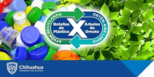 SE CREÓ LA (SEDUE) SECRETARIA DE DESARROLLO URBANO Y ECOLOGIA