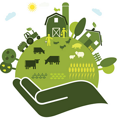 Timeline: Evolución del concepto de desarrollo