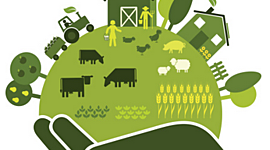 Timeline: Evolución del concepto de desarrollo