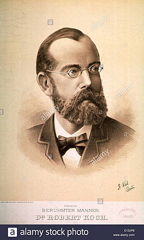 El médico alemán Robert Koch
