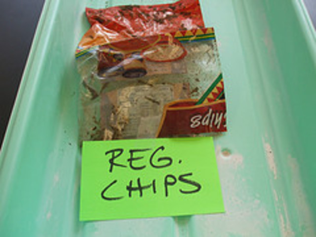 reg chips bag