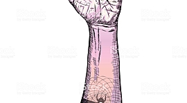 Timeline: siglo de revoluciones