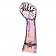 Revolucioness