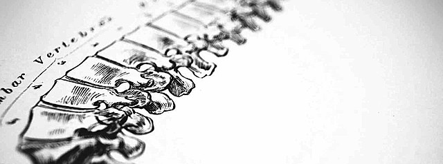 LA QUIROPRAXIA «reductores o componedores de huesos».