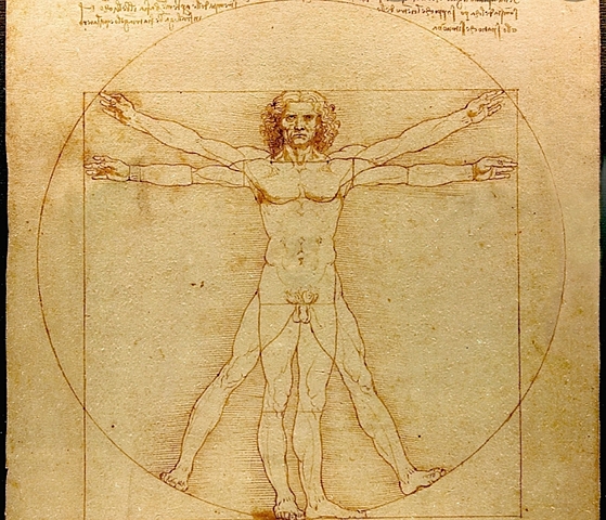 Hombre De Vitruvio