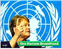 Comisión de Brundtland