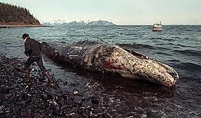 DESASTRE AMBIENTAL, EXXON VALDEZ
