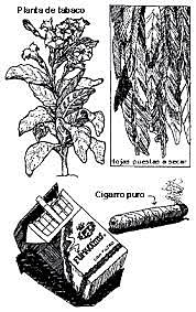 Aporte de Stas a la Toxicología