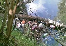 Creciente preocupación por el agotamiento y destrucción de recursos