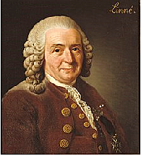 Carl von Linne