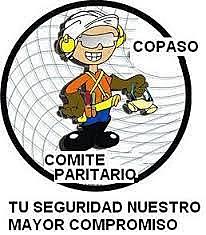 Reglamentación del COPASO