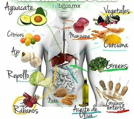 MEDICINA AYURVÉDICA, 700 INDIA