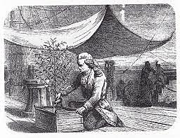 Coffee: The Travels of Gabriel Mathieu de Clieu