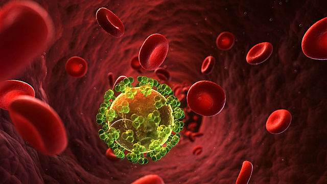 Se identifica el virus que causa VIH-SIDA