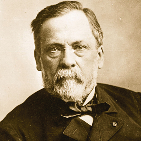 louis pasteur