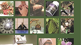 Timeline: MEDICINA ALTERNATIVA, TERAPIAS NATURALES Y COMPLEMENTARIAS