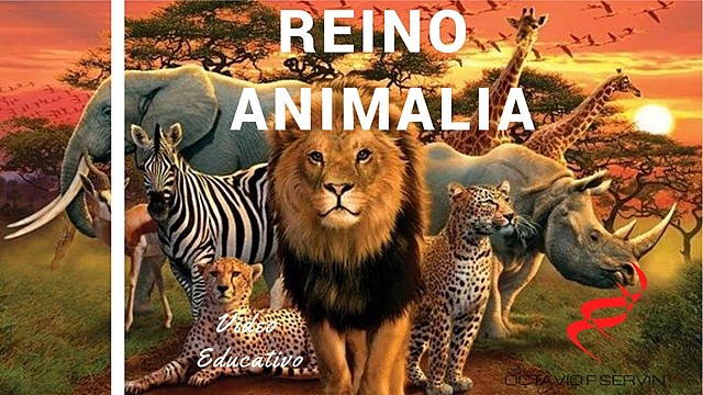 Robert Whittaker formalizo el quinto reino