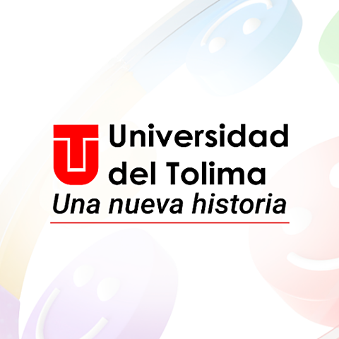 formacion Universitaria   Tomo la decision de terminar mi carrera profesional en la Universidad del Tolima