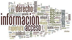 A través de la Ley Federal de Transparencia