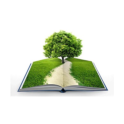 Timeline: HISTORIA DEL MEDIO AMBIENTE