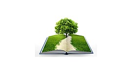 Timeline: HISTORIA DEL MEDIO AMBIENTE