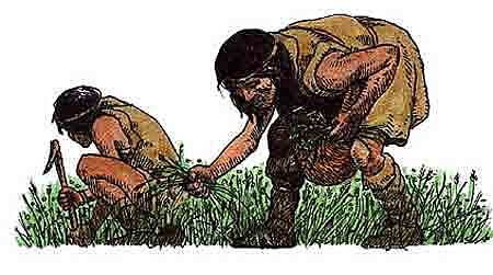 30.000 a.c. busca de alimentos (frutos, raíces, plantas)