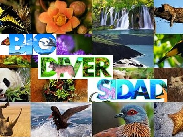 La séptima reunión ministerial de la Conferencia sobre la Diversidad Biológica