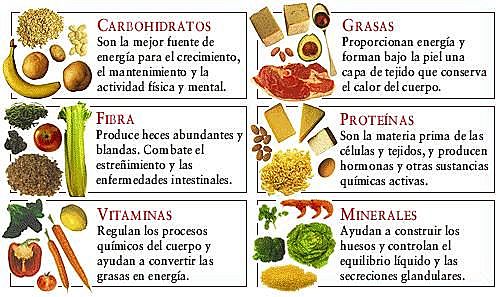 1750 estdios cientificos sobre la energía, las proteínas y vitaminas
