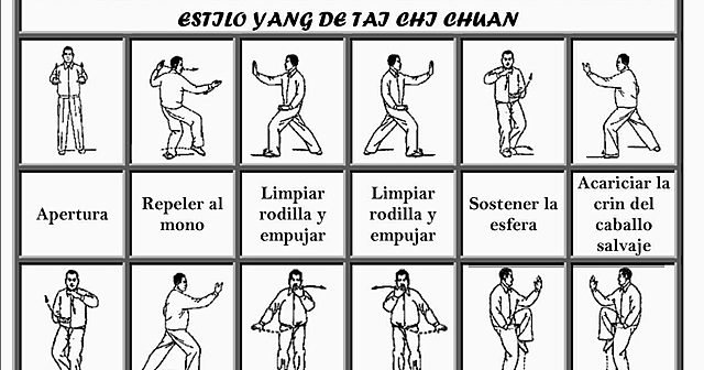 ESTILO Yang de Tai Ji
