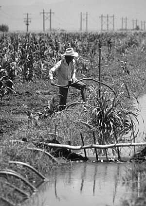 Procedimiento Agrario
