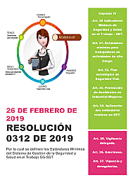 RESOLUCION 0312 DEL 2019