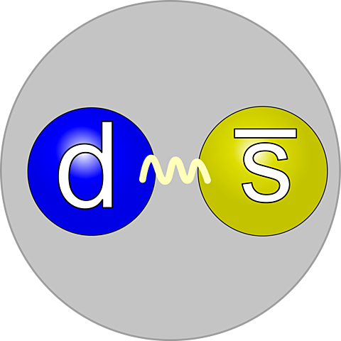 Descubrimiento del pión