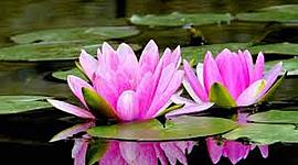 Timeline: Descubrimientos Científicos que aporto la Química