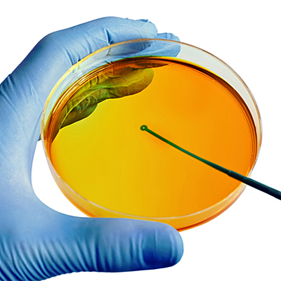 Timeline: Historia de la fitopatología