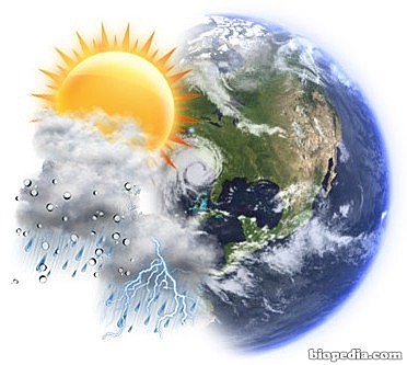 Primera conferencia mundial del clima, organizada por la OMM.