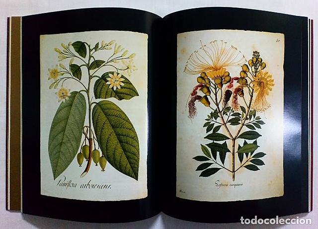 Profundización de Primeras Expediciones