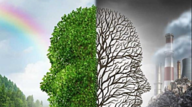 Timeline: problemática ambiental Global.