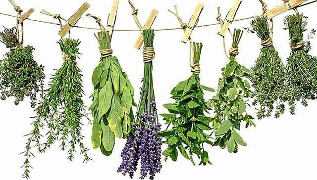 Inicios de la Medicina Natural