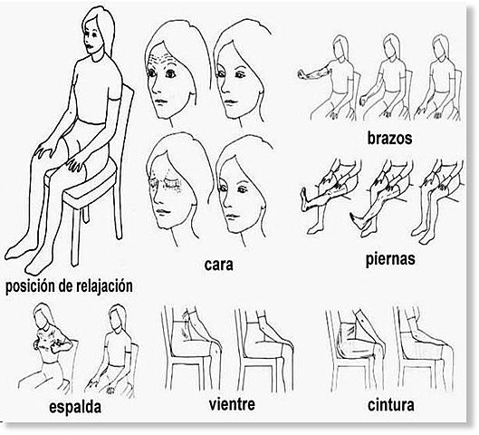 TÉCNICA DE RELAJACION MUSCULAR PROGRESIVA DE JACOBSON