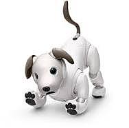 Aibo
