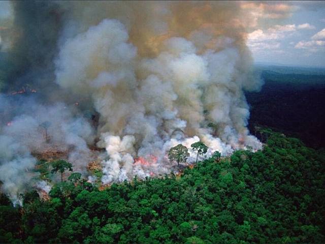 Incendio forestal producido en el pulmón del mundo, Amazonas: 2019