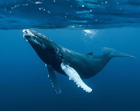 Daños en fuentes hídricas