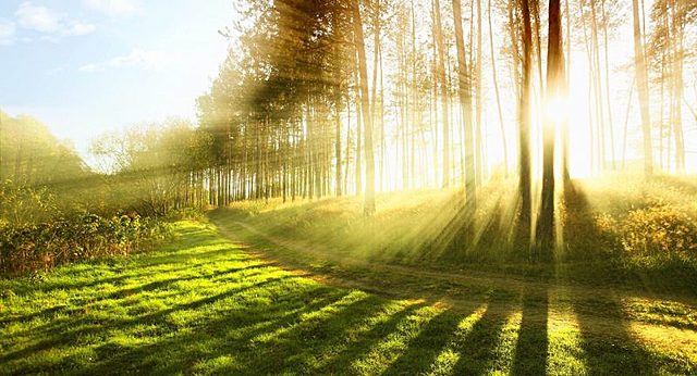 Fundación de la (International Union for the Protection of Nature) IUPN