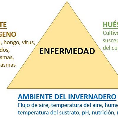 Timeline: Historia de la Fitopatología - Deiby Vargas