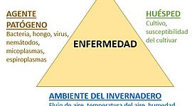 Timeline: Historia de la Fitopatología - Deiby Vargas