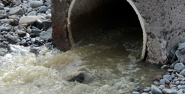 Preocupación ambiental.
