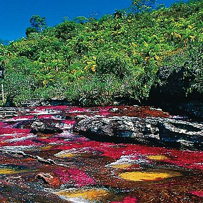 Timeline: SITUACIÓN ACTUAL DEL MEDIO AMBIENTE "ONU"