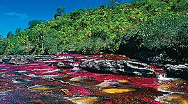 Timeline: SITUACIÓN ACTUAL DEL MEDIO AMBIENTE "ONU"