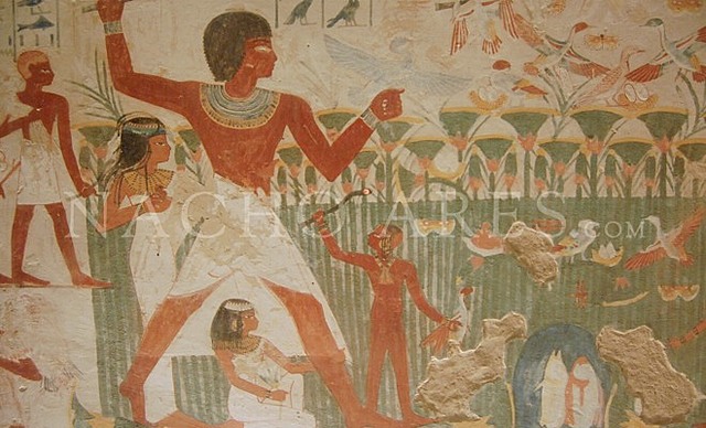 Uso de palomas mensajeras por los egipcios